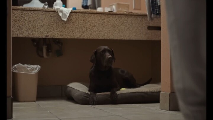 How to Watch Sovereign 2025 Full Movie Online for Free