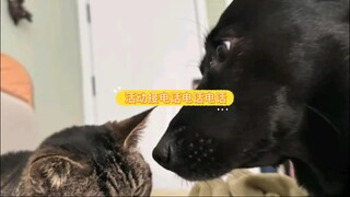 ah2