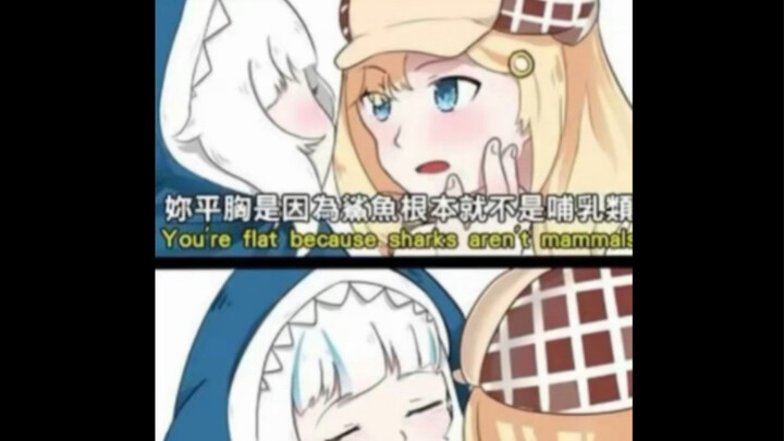 Silly meme | Shark Girl’s flat chest is because she’s not a mammal
