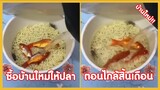 ซื้อบ้านใหม่ให้น้องปลา ในเวลาไกล้สิ้นเดือน !! ( รวมฮาพากย์ไทย )​