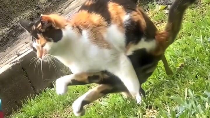 เดินผ่านท่ามกลางดอกไม้นานาพันธุ์ แต่ใบไม้สักใบก็ไม่ติดตัว