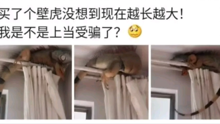 盘点令人无法自拔搞笑的沙雕图，第247期，