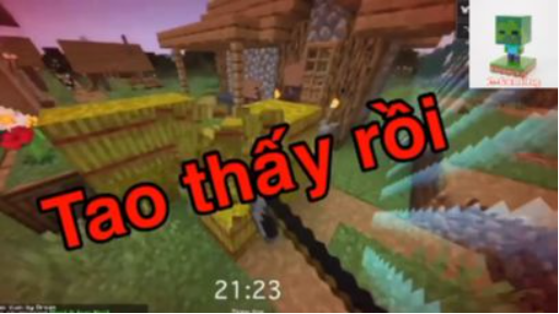 Highlight Minecraft 20.11