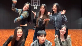 Ditto dance challenge Newjeans กับ Jeon Jungkook