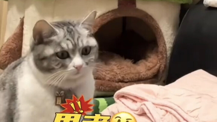 Cat: What if the person I’m raising doesn’t make a sound?