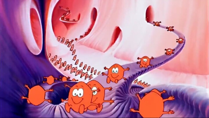 06. Las Plaquetas (Erase Una Vez... La Vida)