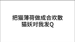 猫薄荷做的合欢散？