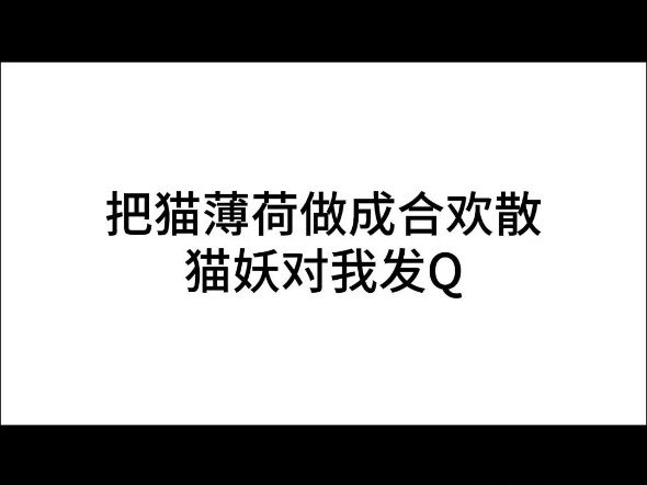 猫薄荷做的合欢散？