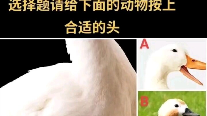 ภาพขำขันสุดกวน