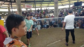 sayang ang palo ng manok ko na white choco halos lahat sa kanya..... bawi nalang sa sunod...