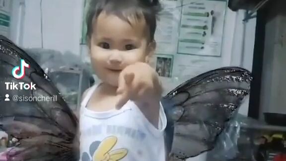 skye butterfly 😆