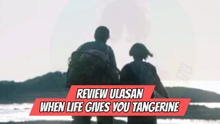 Review Ulasan When Life Gives You Tangerine
