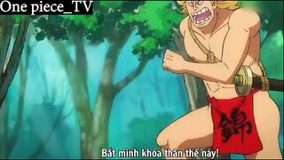 Hồi trẻ trâu của Kinemon #Onepiece