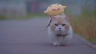 ชั้นไม่เหงา