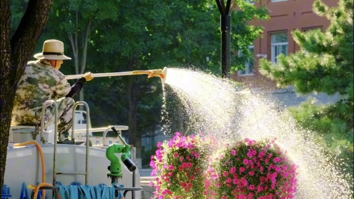 The “Comment Section Photo Contest: A Collection of Masterpieces” — the last photo totally blew me a