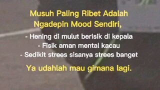story wa