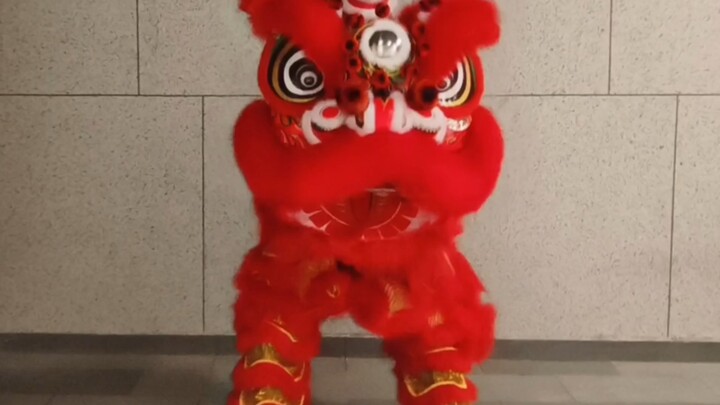 About how I fell in love with lion dancing after watching “The Lion Roars”