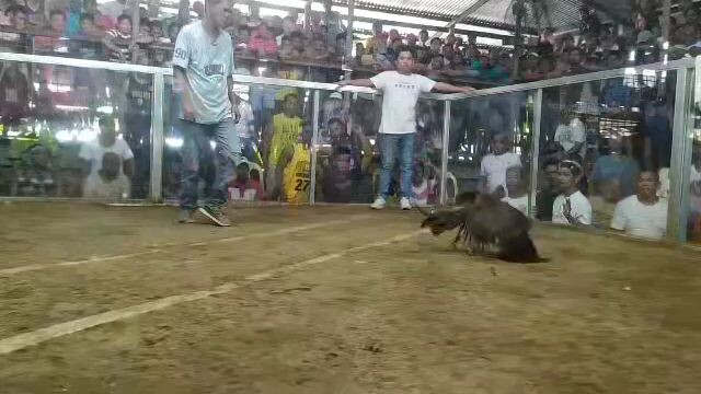 Gold benabae vs super takbo na kalaban😄