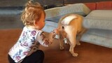เด็กน่ารักเล่นกับสุนัข โฮมวิดีโอน่ารักที่สุด