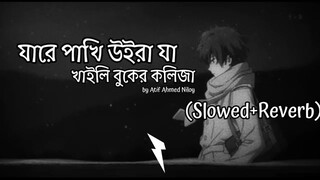 যারে পাখি উড়ে যা