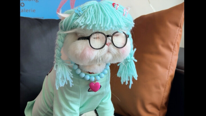 The class-like Mimi used this avatar to directly interpret my mental state. It is reasonable and abs