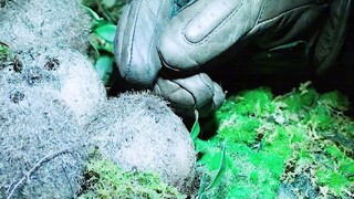 一艘庞大的外星飞船突然降临