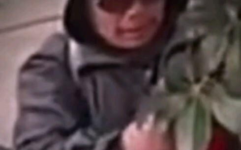 Who lost this Christmas outfit? I love it so much!