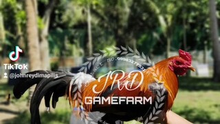 Early bird 2022 🏆 Facebook page : JRDKC Gamefarm