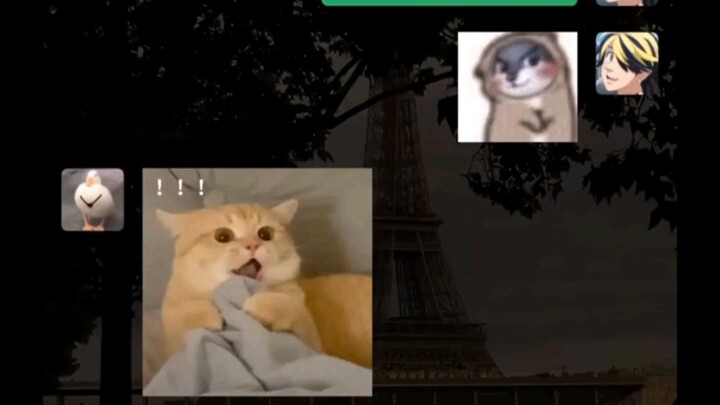 字里话间带着点小兴奋！嘻嘻😁嘻嘻