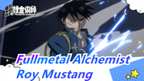 [Fullmetal Alchemist/Beat Sync] Roy Mustang's Epic Fight Scenes