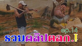 #รวมคลิปตลก รวมคลิปฮาๆ รวมคลิปขำๆ ep14