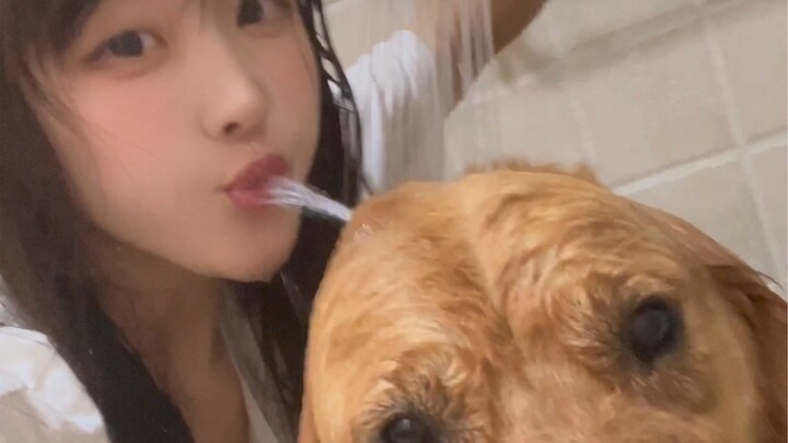 Bagaimana bisa Kakak Nai memperlakukan Golden Retriever seperti ini!