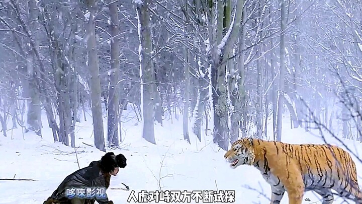 第8集：杨子荣打虎穿山偶遇刘大麻子，剿匪记之林海雪原