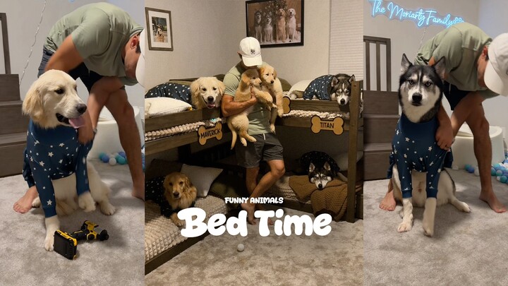 It’s like trying to lull a naughty toddler to sleep 😴