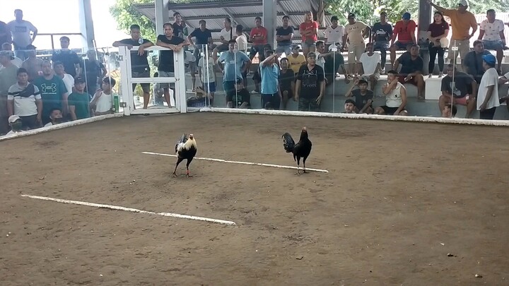 AEC-2 talisayin vs black hennie