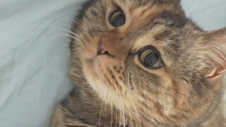 Kamu harus menutupi perutmu seperti aku saat tidur, oke?