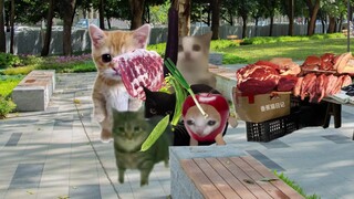 The doll was thrown in front of Banana Cat's vegetable stall and started a fight