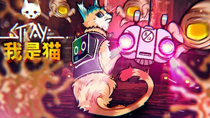 Cùng bạn đồng hành trốn thoát khỏi cống thoát nước, cậu ấy là robot dũng cảm nhất ngôi làng này! Str