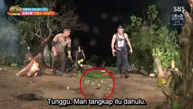 law of the jungle myanmar ep 4 sub indo