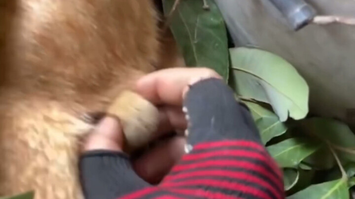 Cat: I hate rude people.