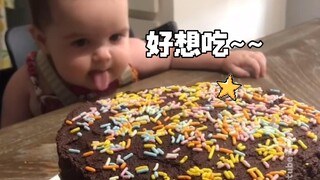 当幼崽遇上灵魂食物，场面逐渐失控...