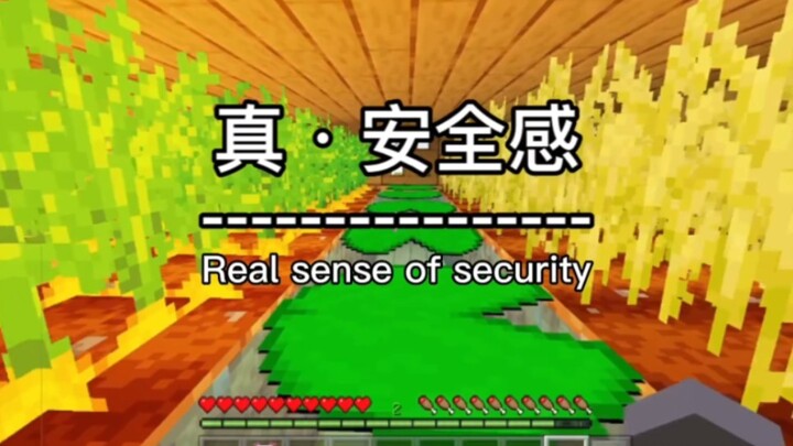 True Sense of Security