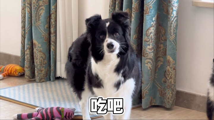 A secret code just for my puppy～