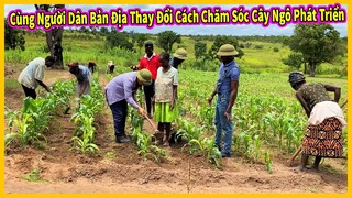 Bản Ahanga Tập 9 || Cùng Người Dân Bản Địa Chăm Sóc Cây Ngô Phát Triển Để Đạt Năng Suất Cao