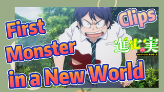 [The Fruit of Evolution]Clips |  First Monster in a New World