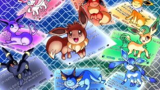【伊布进化形/极致画质/AMV】和每一只伊布进化形度过美好时光