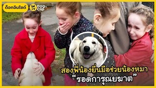 สองพี่น้องแสนดียื่นมือเล็ก ๆ ช่วยน้องหมายิ้มหวานรอดพ้นการุณยฆาต | Dog's Clip