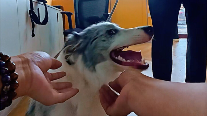 Cửa hàng có một vị khách nhỏ đáng yêu ghé thăm!