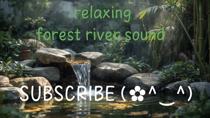 relaxing forest river sound