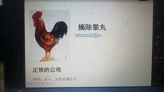 لقد أحببت حقًا درس علم الأحياء.